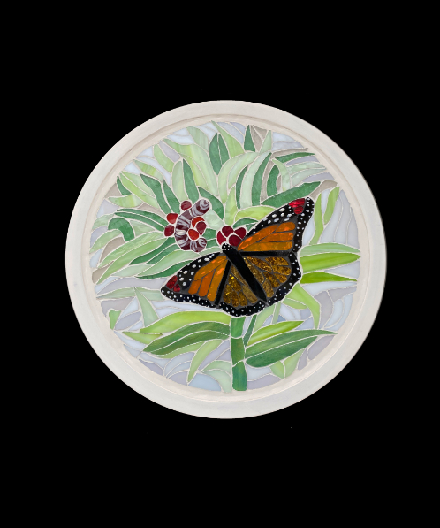 Monarch in a field of milkweed